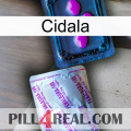 Cidala 37